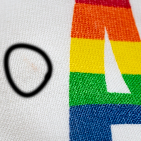 NWT Zadig & Voltaire hoodie sweatshirt Sanchi Amour wings S - Picture 10 of 11